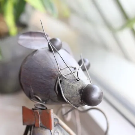 Ky487 Im Panoramichohegeiss *