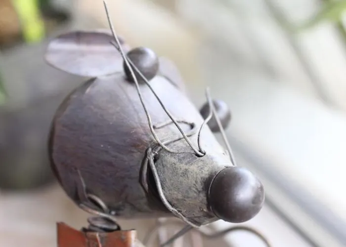 Ky487 Im Panoramichohegeiss *